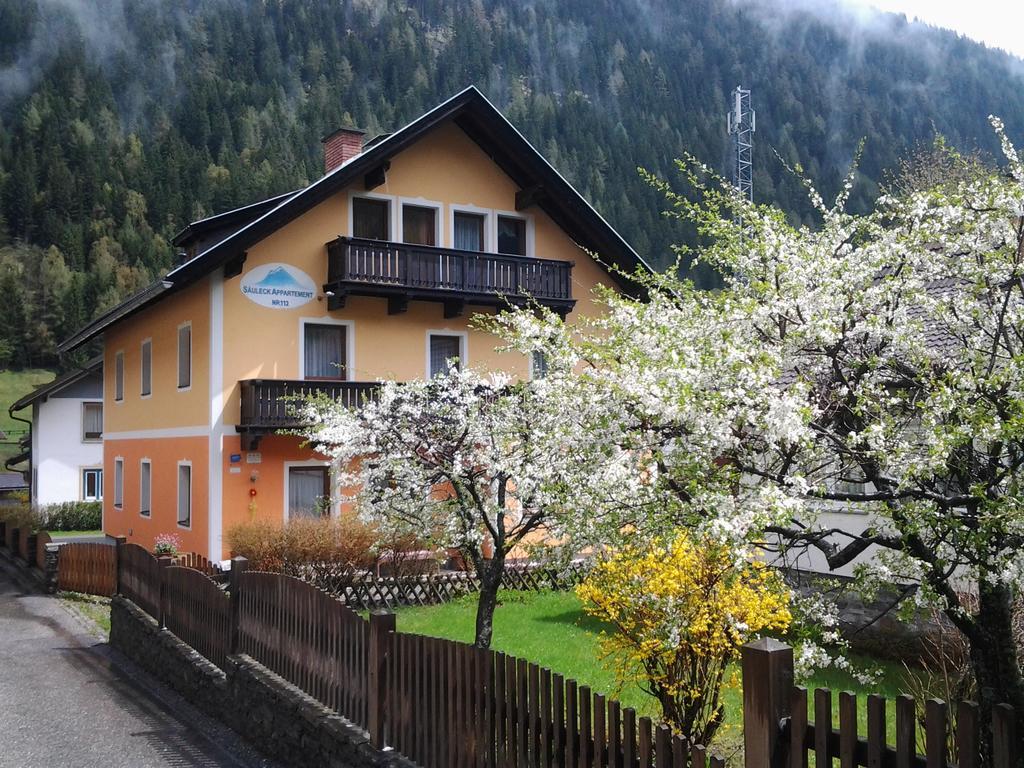 Saeuleck Appartement Inkl Skibus Мальниц Экстерьер фото